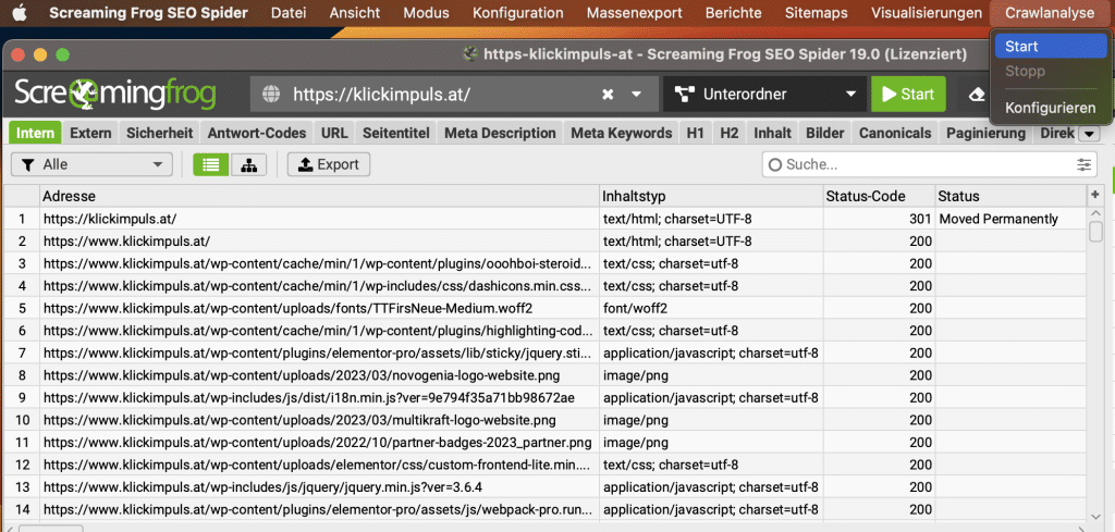 Screaming Frog Crawlanalyse starten