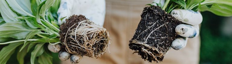 multikraft case study header